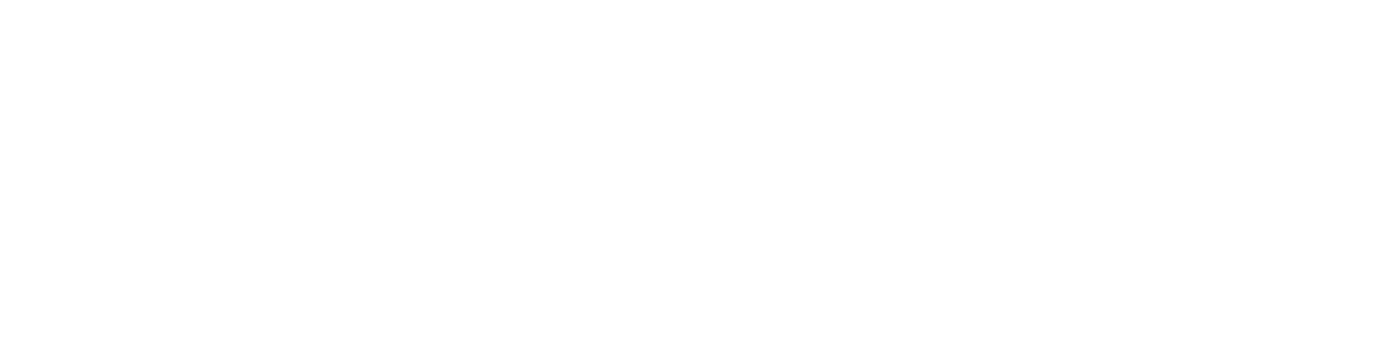 CheapJunkie